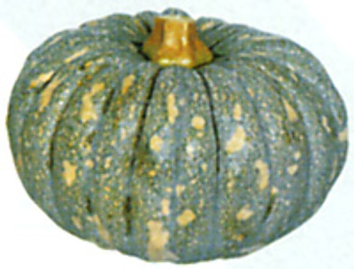 00001881_photo1.jpg