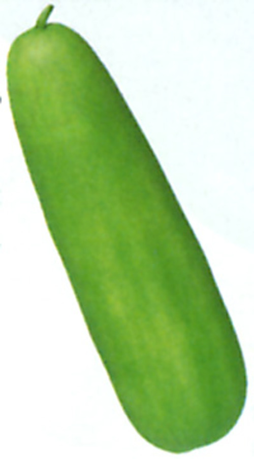 00001884_photo1.jpg