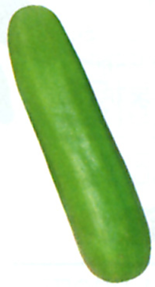00001886_photo1.jpg
