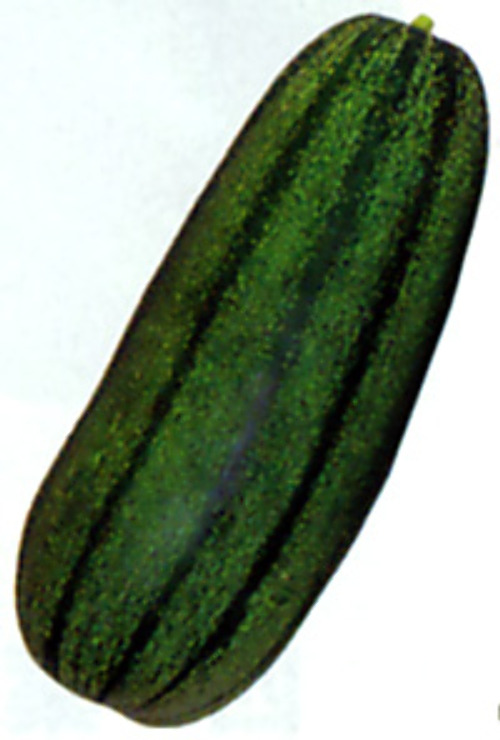 00001887_photo1.jpg