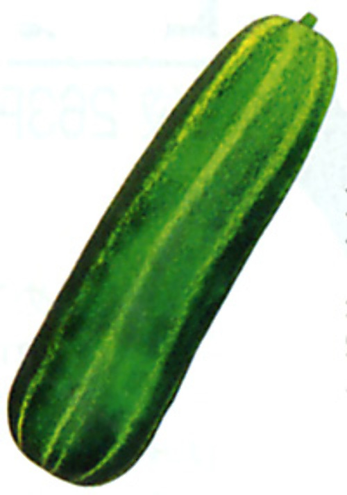 00001888_photo1.jpg