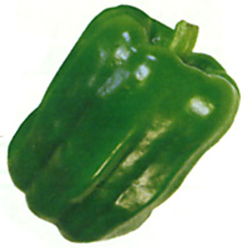 00001897_photo1.jpg