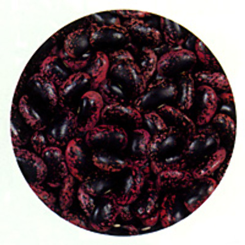 00001915_photo1.jpg