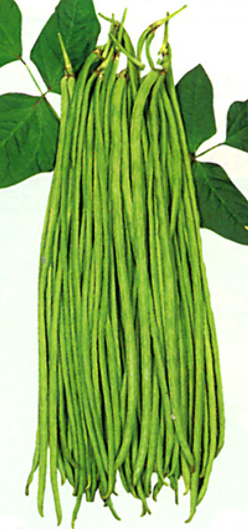 00001927_photo1.jpg