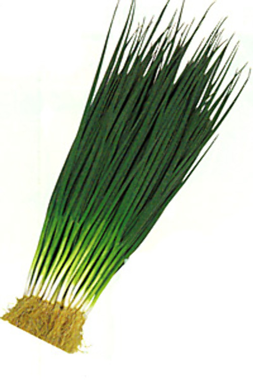 00001977_photo1.jpg