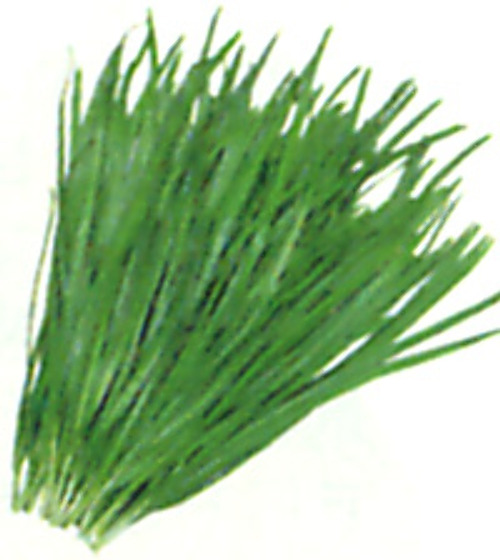 00001986_photo1.jpg