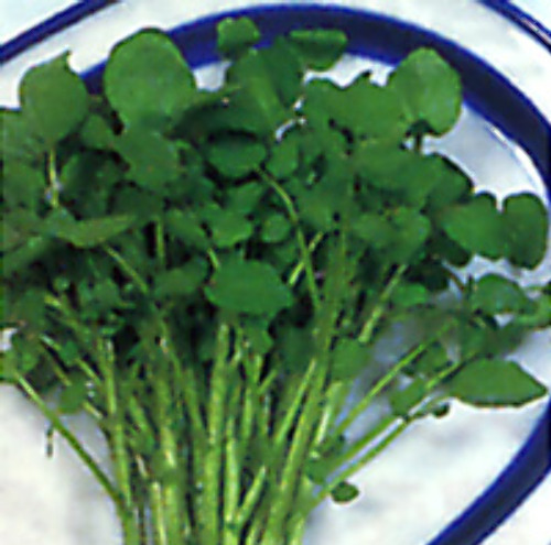 00002000_photo1.jpg