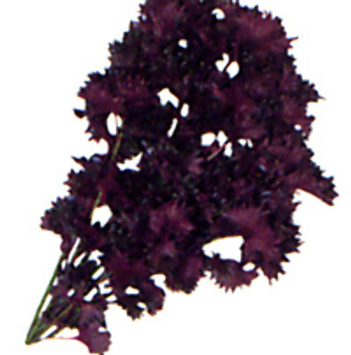 00002064_photo1.jpg