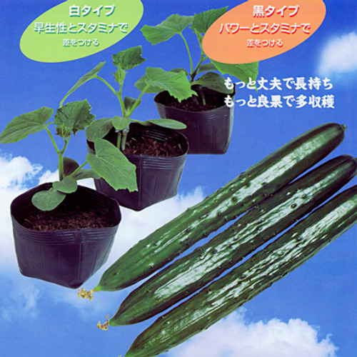 00005017_photo1.jpg