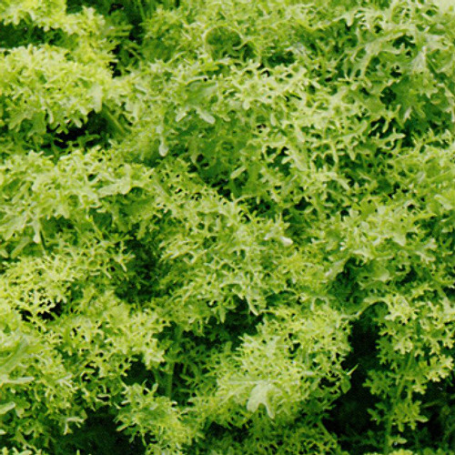 00006291_photo1.jpg