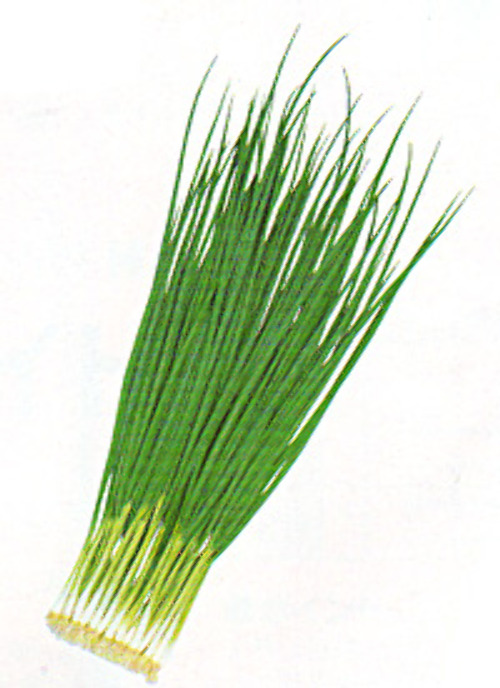 00006622_photo1.jpg