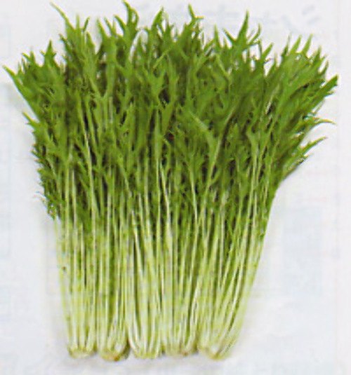 00006625_photo1.jpg