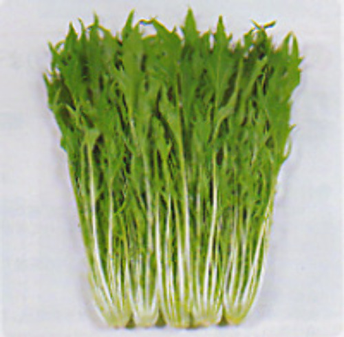 00006629_photo1.jpg