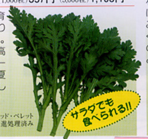 00006640_photo1.jpg