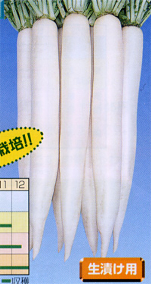 00006689_photo1.jpg