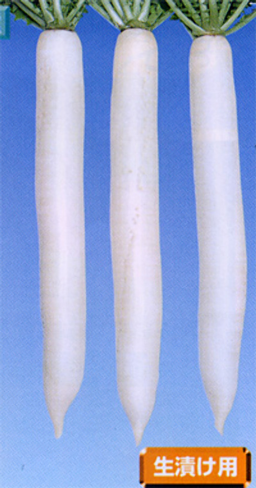 00006693_photo1.jpg