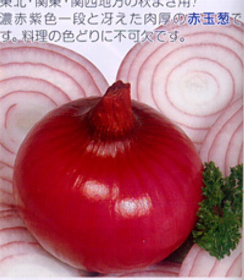 00006722_photo1.jpg