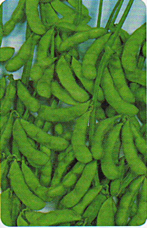 00006771_photo1.jpg