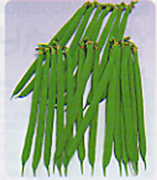 00006778_photo1.jpg