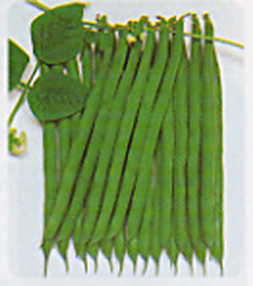 00006780_photo1.jpg