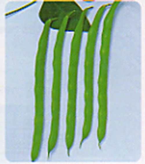 00006782_photo1.jpg