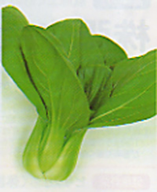 00006784_photo1.jpg