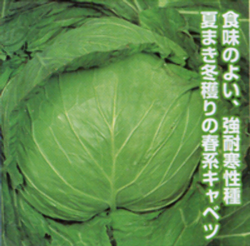 00006985_photo1.jpg