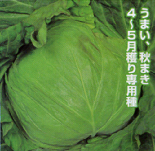 00006989_photo1.jpg