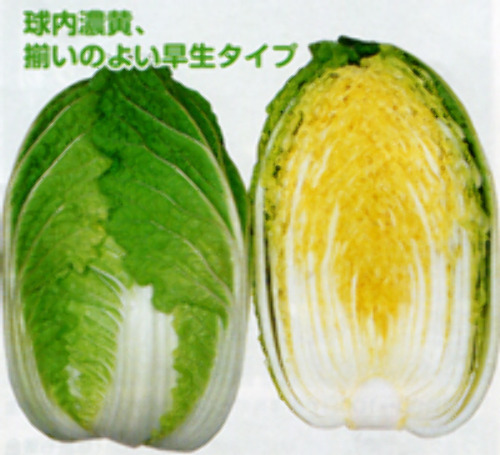 00006996_photo1.jpg