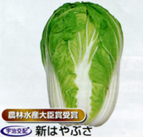 00006997_photo1.jpg