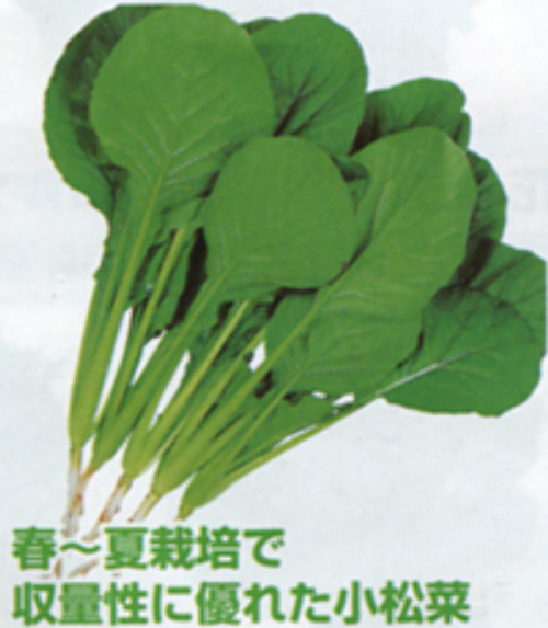 00007000_photo1.jpg