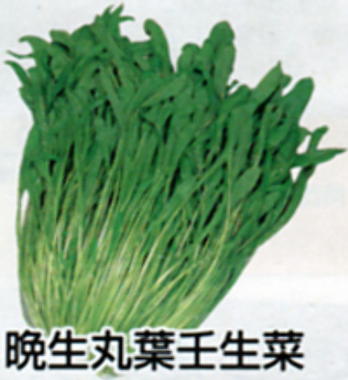 00007041_photo1.jpg