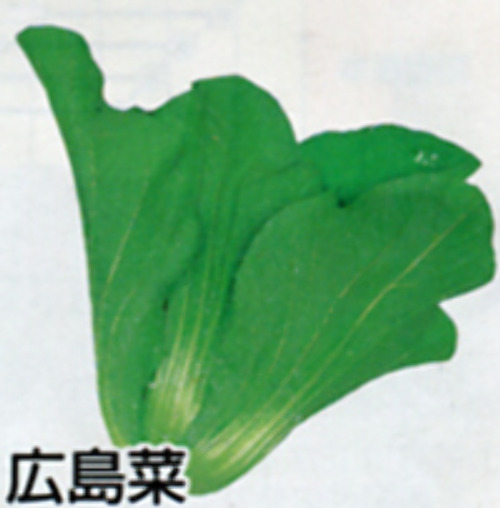 00007057_photo1.jpg