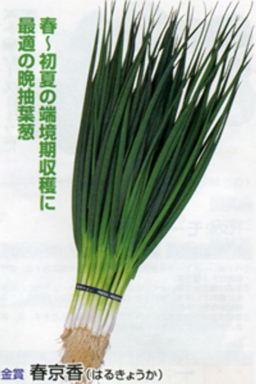 00007065_photo1.jpg