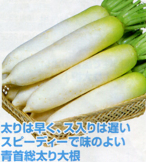 00007073_photo1.jpg