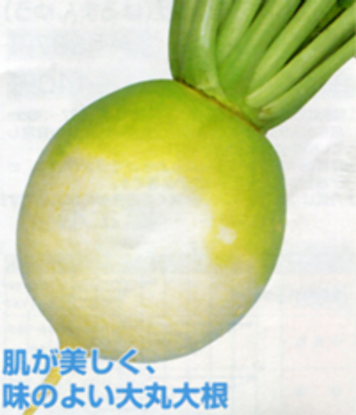 00007074_photo1.jpg