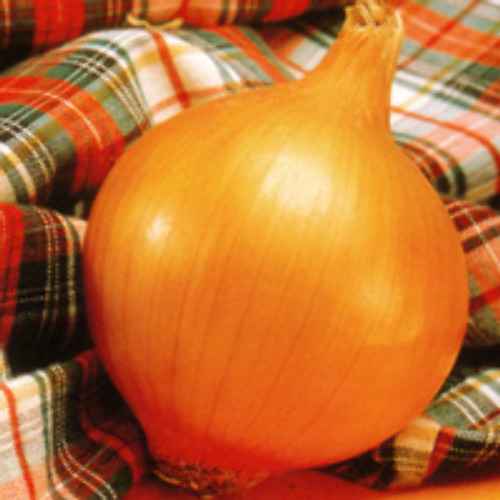 00007422_photo1.jpg