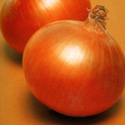 00007424_photo1.jpg