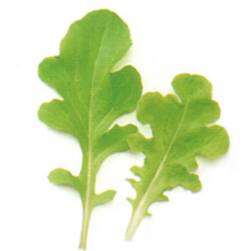 00007433_photo1.jpg