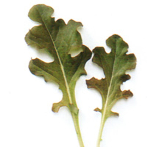 00007434_photo1.jpg