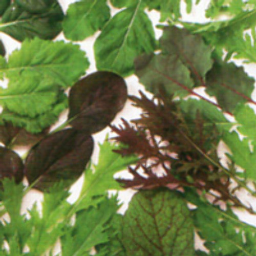 00007468_photo1.jpg