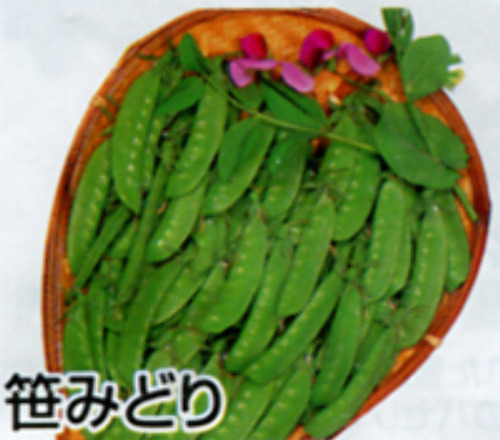00007481_photo1.jpg