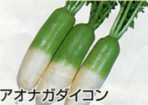 00007489_photo1.jpg