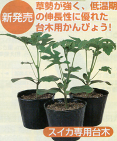 00007491_photo1.jpg