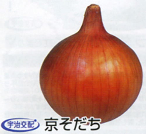 00007493_photo1.jpg