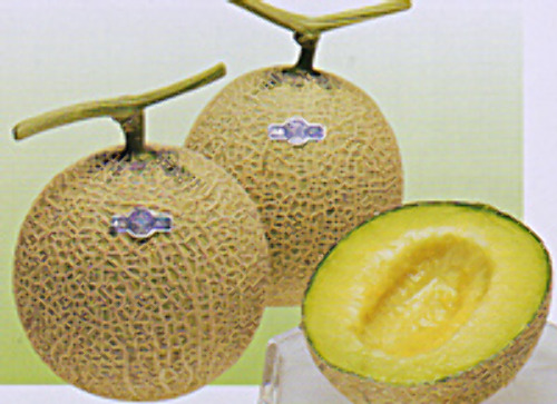 00007632_photo1.jpg