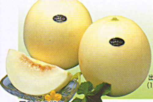 00007638_photo1.jpg