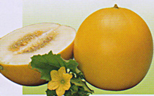 00007642_photo1.jpg