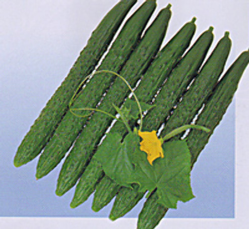 00007701_photo1.jpg