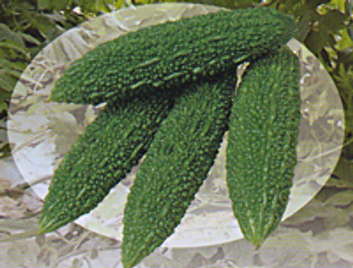 00007712_photo1.jpg